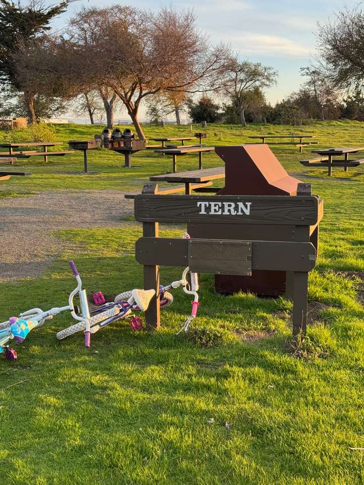 Tern picnic area sign w/ TERN in white paint with picnic tables in background.